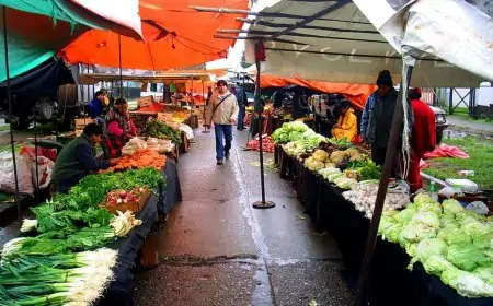 IPC de junio registra variación mensual de 0,0% y acumula 2,8% en el año: transporte (-1,3%) y alimentos (0,8%) marcan la canasta
