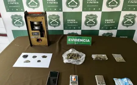 Detienen a un hombre por microtráfico en Valdivia incautando drogas avaluadas en más de 730 mil pesos