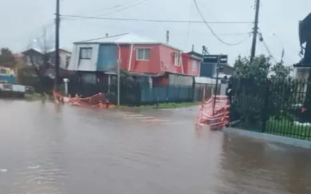 Municipio de Osorno despliega equipos por emergencia climática en puntos críticos de la comuna