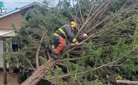 Municipio de Río Bueno despliega operativo de emergencia tras sistema frontal con ráfagas de viento superiores a 80 km/h