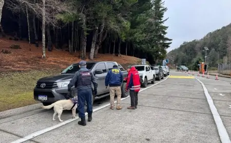 PDI y Aduanas fiscalizan paso fronterizo Huahum en operativo de control de armas con revisaron de 49 vehículos 