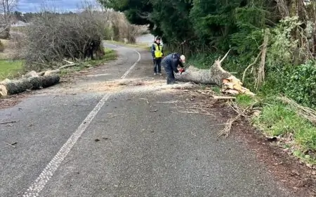 Delegado Valderrama reporta 16 mil hogares afectados por sistema frontal en el Ranco y gestiona catastro de daños en agricultura familiar