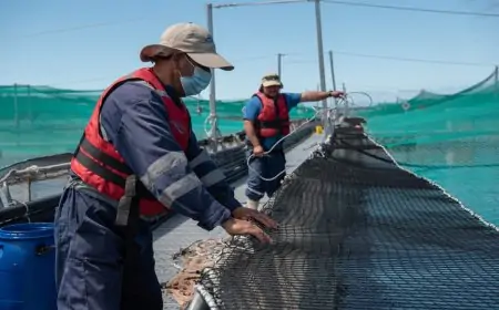 ONG´s chilenas acusan trabajo forzoso ante EE.UU. y contribuyeron a aplicación de arancel del 12,5% a productos nacionales