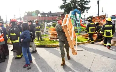 Delegado del Ranco destaca labor de Bomberos y Ejército ante emergencia en La Unión