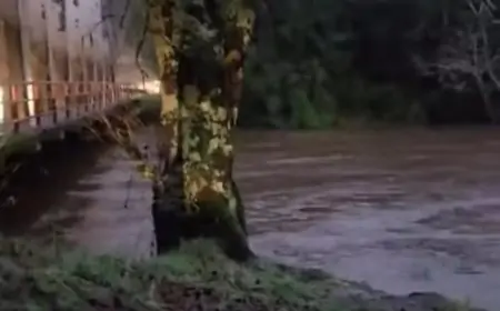 Senapred cancela Alerta Roja en Futrono por descenso del río Coique