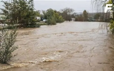 Senapred declara Alerta Roja para Valdivia y Los Lagos por desborde de ríos