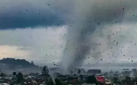 Meteorología advierte por probables tornados en Los Ríos y Los Lagos este 1 de agosto