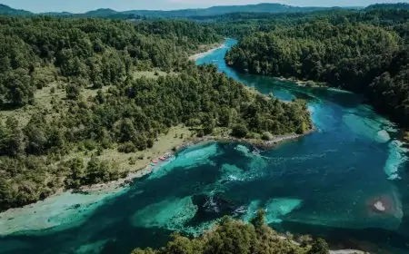 Corte Suprema ratifica permiso ambiental de piscicultura Río San Pedro