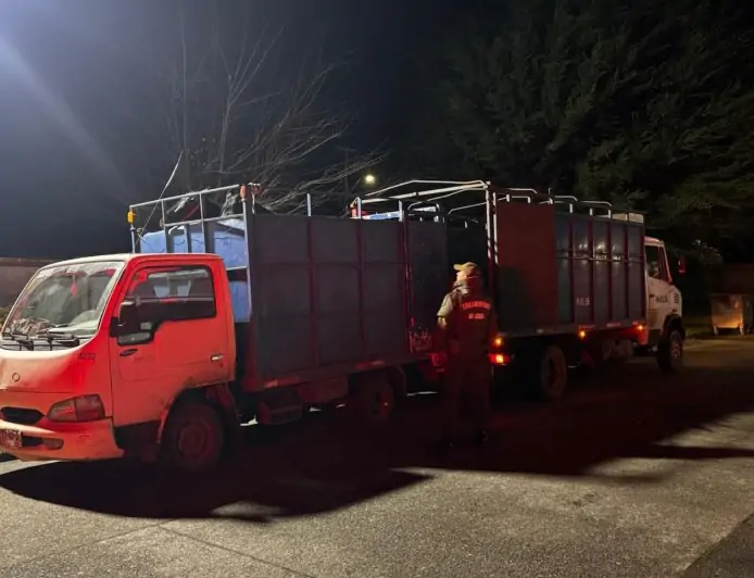 Fiscalía formaliza a imputado por abigeato en La Unión tras ser sorprendido transportando dos caballares sin acreditar procedencia