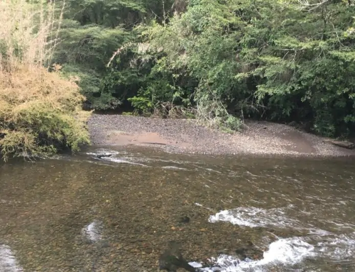 Empresa Forestal Ilihue busca desalojar a 50 familias en Lago Ranco: ocupantes denuncian que se pretende extender demanda a terrenos que no corresponden