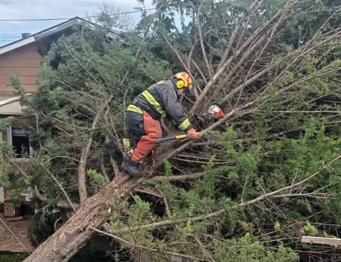 Municipio de Río Bueno despliega operativo de emergencia tras sistema frontal con ráfagas de viento superiores a 80 km/h
