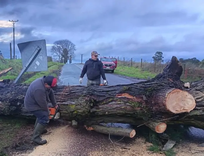 Municipio de La Unión despliega operativo por sistema frontal con cuadrillas, bomberos y carabineros trabajando en restablecer la conectividad