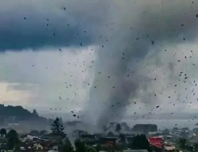 Meteorología advierte por probables tornados en Los Ríos y Los Lagos este 1 de agosto