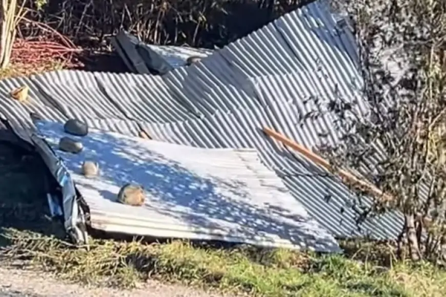 SENAPRED Los Rios reporta 27 damnificados, nueve heridos por viento puelche y más de 11 mil clientes siguen sin electricidad
