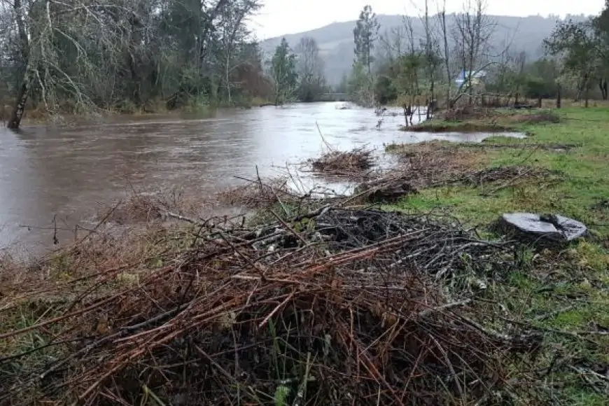 SENAPRED declara Alerta Amarilla para Lanco y Mariquina por crecida del río Leufucade en Purulón
