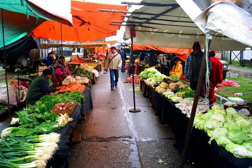 IPC de junio registra variación mensual de 0,0% y acumula 2,8% en el año: transporte (-1,3%) y alimentos (0,8%) marcan la canasta