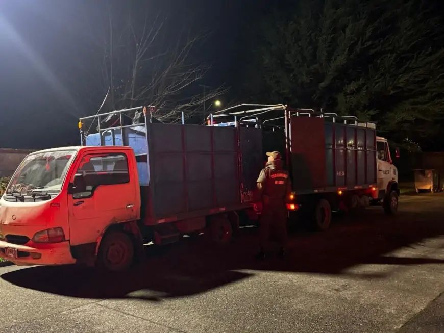 Fiscalía formaliza a imputado por abigeato en La Unión tras ser sorprendido transportando dos caballares sin acreditar procedencia