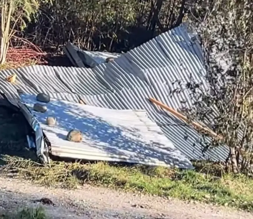 SENAPRED Los Rios reporta 27 damnificados, nueve heridos por viento puelche y más de 11 mil clientes siguen sin electricidad