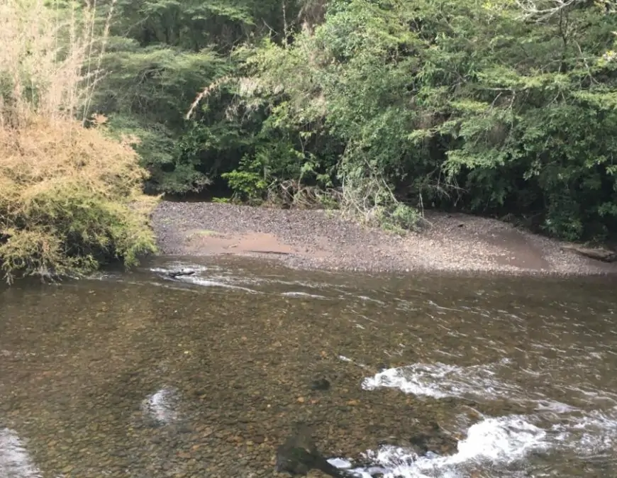 Empresa Forestal Ilihue busca desalojar a 50 familias en Lago Ranco: ocupantes denuncian que se pretende extender demanda a terrenos que no corresponden