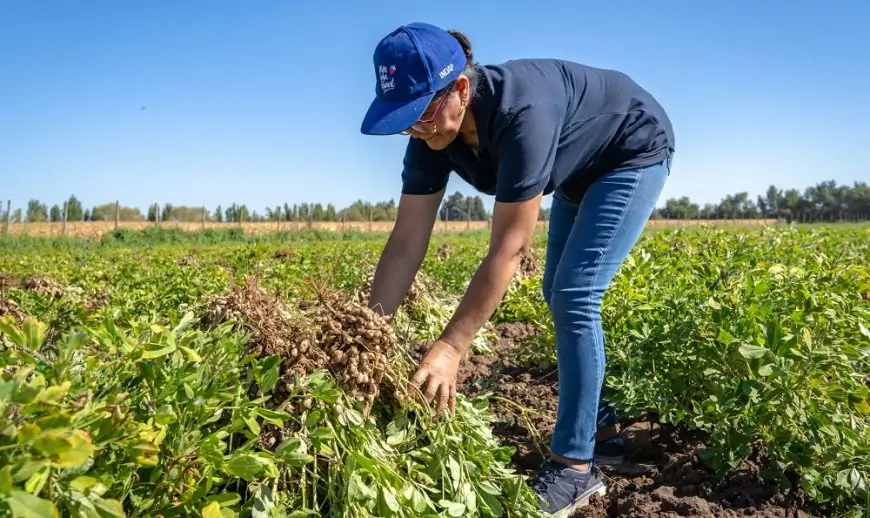 INDAP no exigirá inicio de actividades en SII para acceder a programas de fomento y créditos, resguardando la Agricultura Familiar