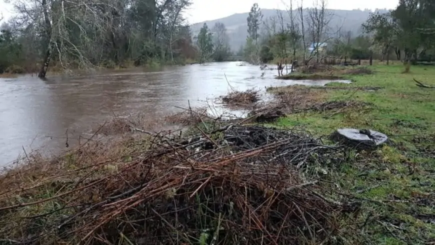 SENAPRED declara Alerta Amarilla para Lanco y Mariquina por crecida del río Leufucade en Purulón