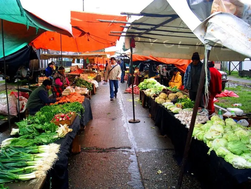 IPC de junio registra variación mensual de 0,0% y acumula 2,8% en el año: transporte (-1,3%) y alimentos (0,8%) marcan la canasta