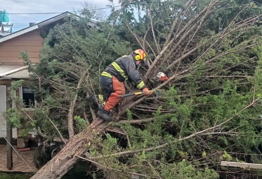 Municipio de Río Bueno despliega operativo de emergencia tras sistema frontal con ráfagas de viento superiores a 80 km/h
