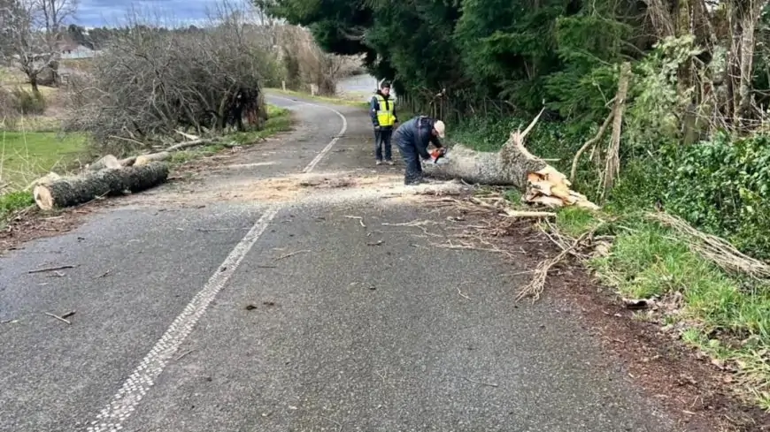 Delegado Valderrama reporta 16 mil hogares afectados por sistema frontal en el Ranco y gestiona catastro de daños en agricultura familiar