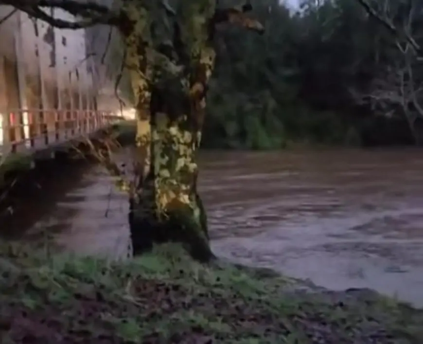 Senapred cancela Alerta Roja en Futrono por descenso del río Coique