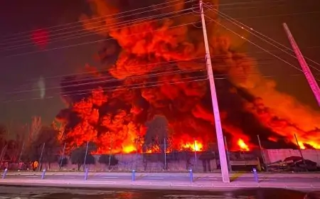 Gobierno solicitará cierre de empresa química Panimex tras incendio en Quilicura
