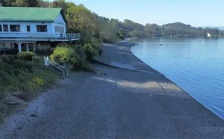 Lanzan primera versión de "Corre Puerto Nuevo" en La Unión con distancias de 3K a 21K