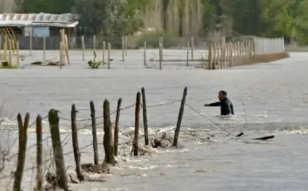 Ministerio de Agricultura declara emergencia agrícola para toda la Región de Los Ríos