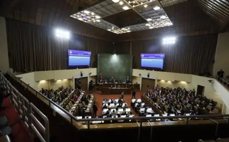 Diputados presentan proyecto para suspender por cinco años la Ley Karin