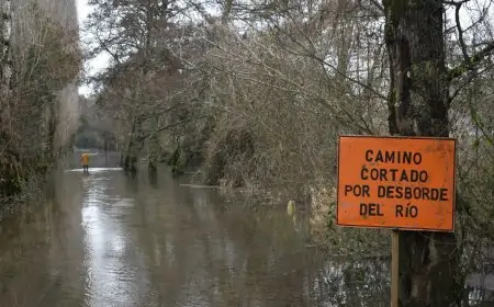 Ministerio de Agricultura decreta emergencia agrícola para San Pablo, Osorno y San Juan de la Costa