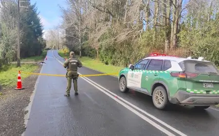 Hombre fallece atropellado en ruta T-865 en sector Ignao de Lago Ranco