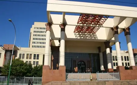 Gobierno logra aprobación para los 3 vetos a la megarreforma y pone fin a su tramitación parlamentaria 