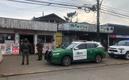 Operativo intersectorial en Río Bueno fiscaliza carnicerías para prevenir el abigeato