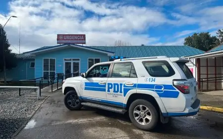 Adolescente de 17 años fallece en Frutillar tras ser encontrado herido en la vía pública
