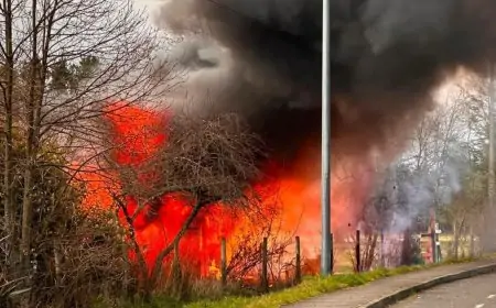 Voraz incendio consume vivienda en sector rural de Pindaco, Río Bueno