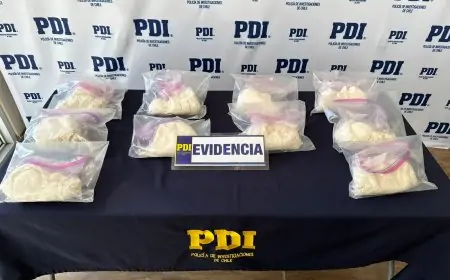 Un hombre detenido y 10 kilos de cocaína base incautados en Valdivia