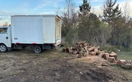 PDI detiene a hombre por usurpación y sustracción de madera nativa en Santuario Llancahue de Valdivia