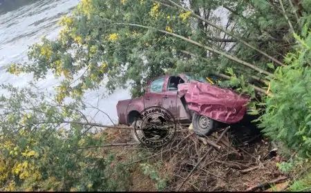 Carabineros investiga violento robo de vehículo que terminó volcado en el río Cruces