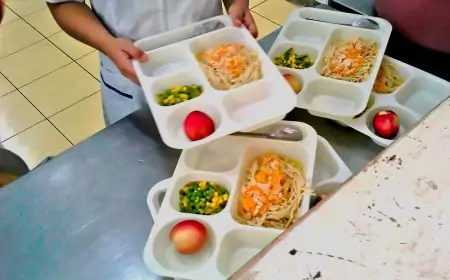 Cada ración del PAE en O'Higgins costó más de $300 mil en el millonario fraude a la alimentación escolar