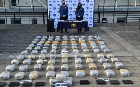 Más de 150 kilos de droga incautados en Valdivia en cuatro días, con  12 detenidos y avalúo superior a $1.097 millones