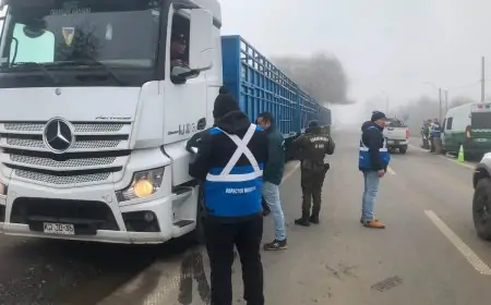 Operativo de fiscalización en Río Bueno realizó 28 controles con radar y detectó infracciones de tránsito y trazabilidad animal