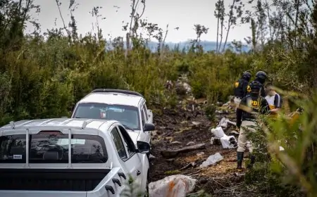 Operación "Alerta Forestal" desbarata red de tala de bosque nativo en Puerto Varas con 7 detenidos