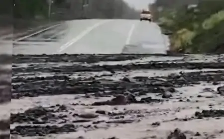 Cierran acceso a Saltos del Petrohué y reportan deslizamientos en ruta CH-225