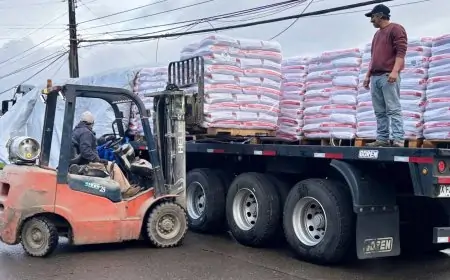 Más de 27 toneladas de alimento concentrado llegan a comunas con emergencia agrícola en la Región de Los Lagos