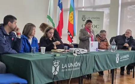 COSOC Los Ríos aborda crisis sanitaria y avanza en sede propia en reunión regional