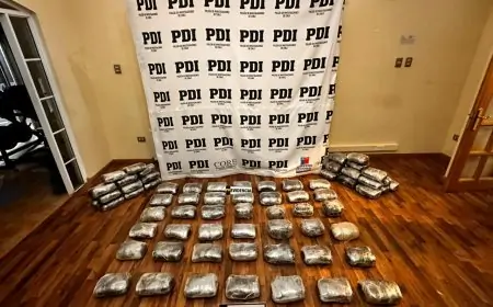 PDI incauta en Calama 85 kilos de cannabis con destino a Los Ríos: avalúo supera los $429 millones